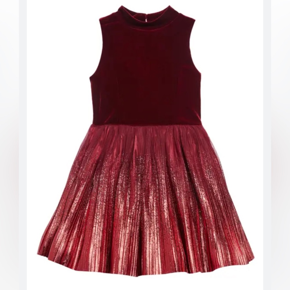 ISO ISO❗️❗️❗️❗️ zunie dress